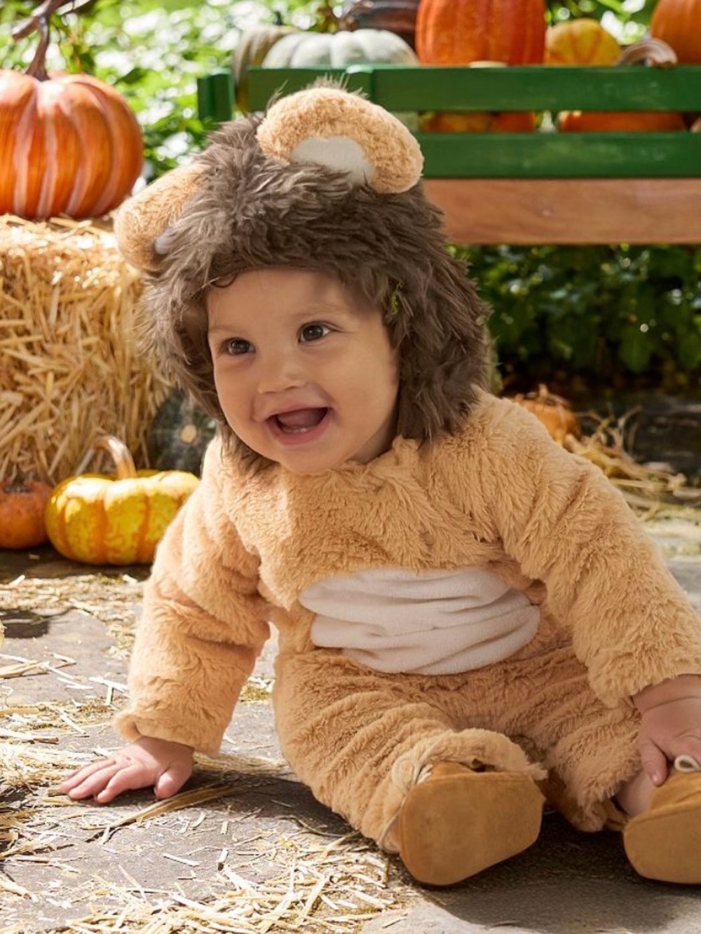 Pottery Barn Kids Baby Lion Halloween costume size 12-24 Months
